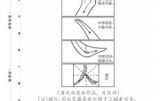 高职高考难度怎样,高职排名