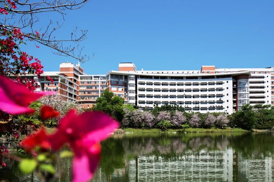 专科学校广东,幼儿师范高等专科学校